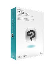 Clip Studio Paint Pro Ver. 4.0 (1 year license)